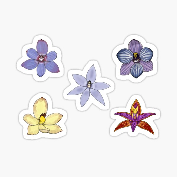 Item preview, Western Australian Sun Orchid Pack designed and sold by JoWillmot.