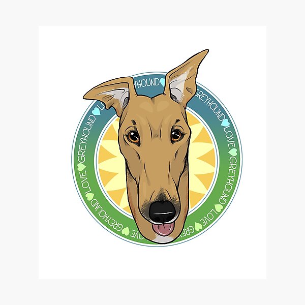 Greyhound Love (Fawn) Photographic Print