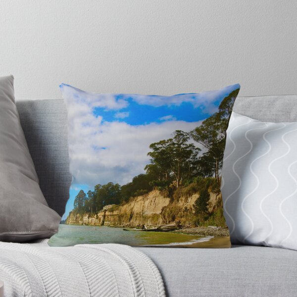 Item preview, Coastal Cliffs, New Brighton State Beach designed and sold by Barbara  Brown.