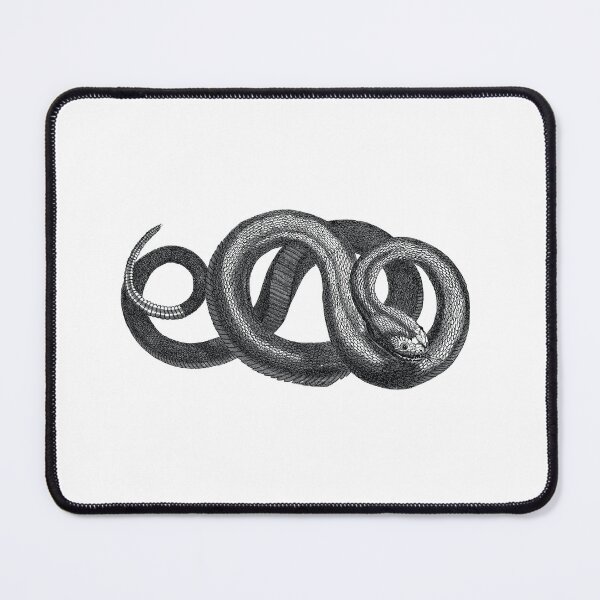 Item preview, Hand-Drawn Snake Illustration designed and sold by artado.