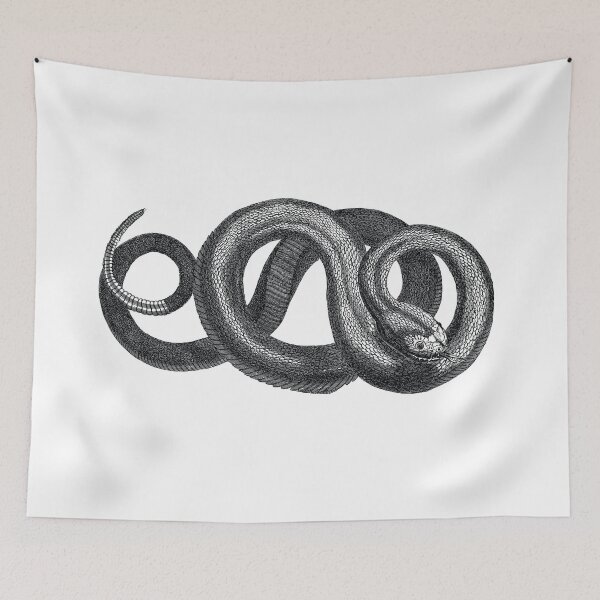 Item preview, Hand-Drawn Snake Illustration designed and sold by artado.