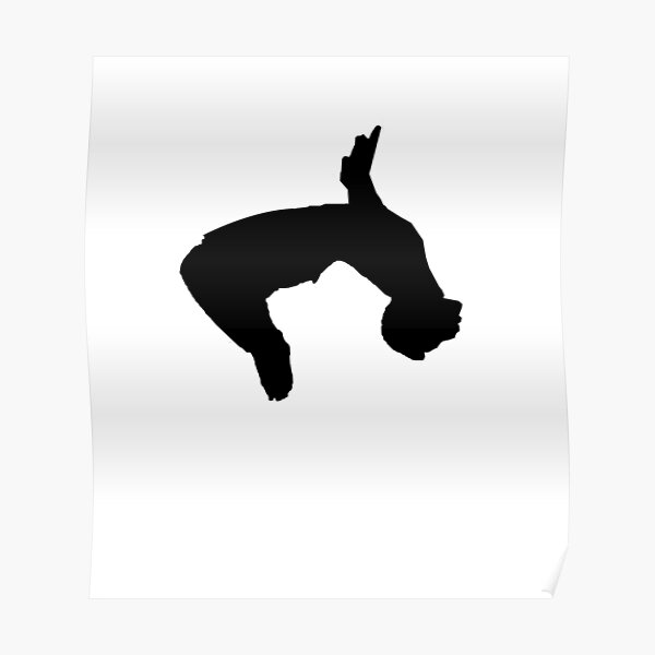 parkour backflip Poster