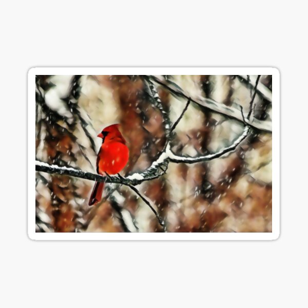 Red Cardinal Calm in Snowstorm Sticker