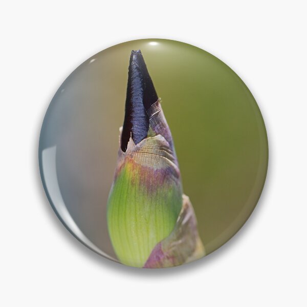 Item preview, Iris Bud Belly Fed designed and sold by Joy Watson - Natural Light Photography .