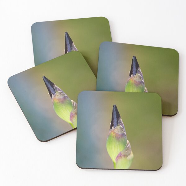 Item preview, Iris Bud Belly Fed designed and sold by Joy Watson - Natural Light Photography .