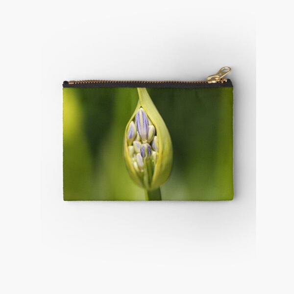 Item preview, Agapanthus Bud New designed and sold by Joy Watson - Natural Light Photography .