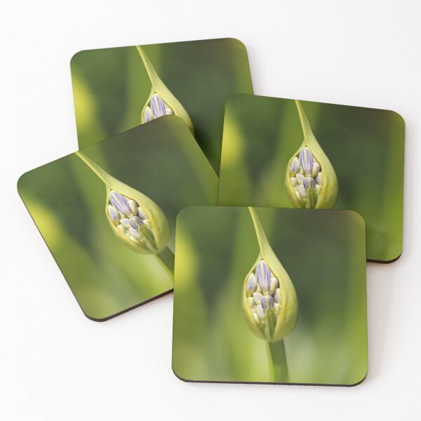 Item preview, Agapanthus Bud New designed and sold by Joy Watson - Natural Light Photography .