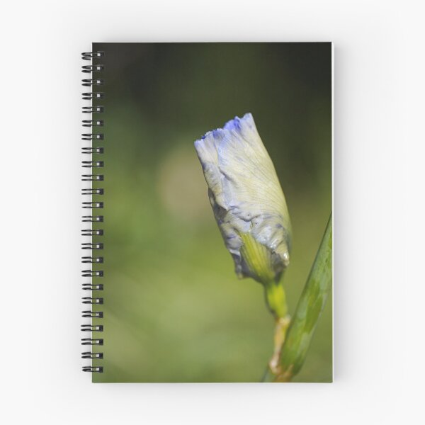 Artikelvorschau, Irisblume über dem Mond entworfen und verkauft von Joy Watson - Natural Light Photography .