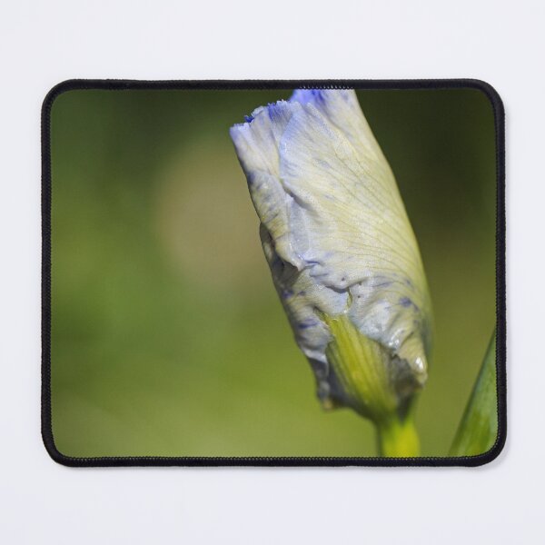 Item preview, Iris Flower Over The Moon designed and sold by Joy Watson - Natural Light Photography .