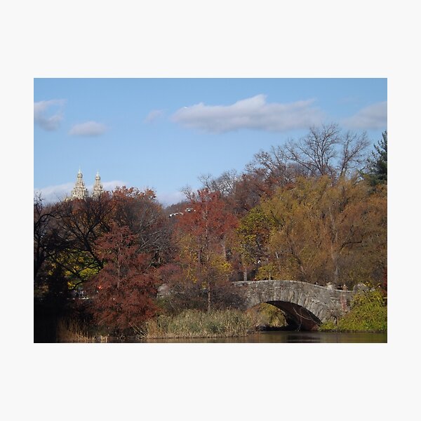 Item preview, Autumn Foliage, Classic Bridge, Central Park, New York City designed and sold by lenspiro.