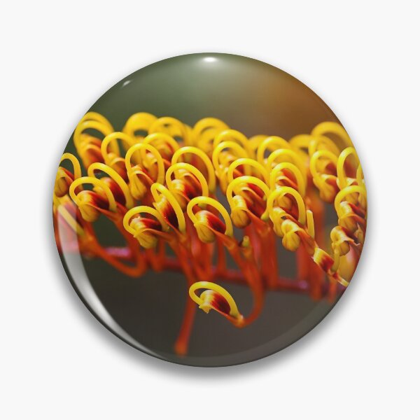 Item preview, Australian Silky Oak Bloom designed and sold by Joy Watson - Natural Light Photography .