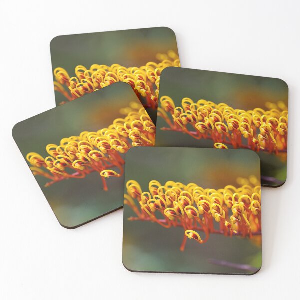 Item preview, Australian Silky Oak Bloom designed and sold by Joy Watson - Natural Light Photography .