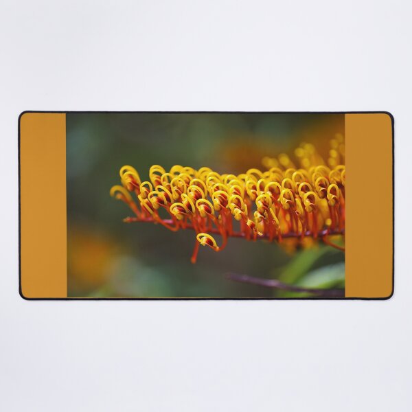 Item preview, Australian Silky Oak Bloom designed and sold by Joy Watson - Natural Light Photography .