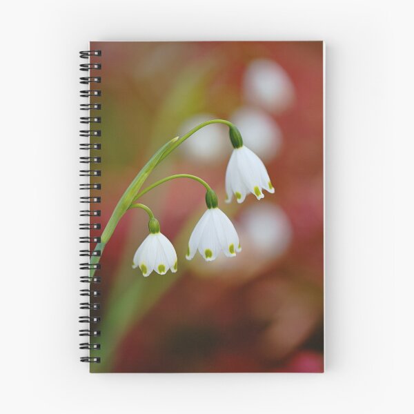 Item preview, Snowdrop Flowers Echoing designed and sold by Joy Watson - Natural Light Photography .