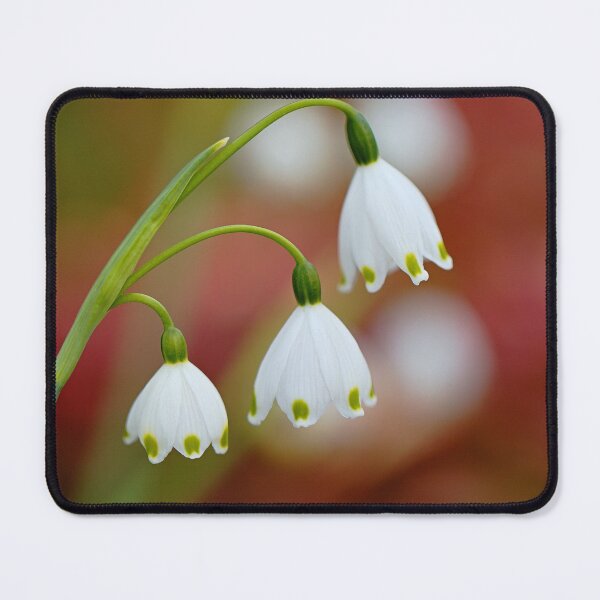 Item preview, Snowdrop Flowers Echoing designed and sold by Joy Watson - Natural Light Photography .