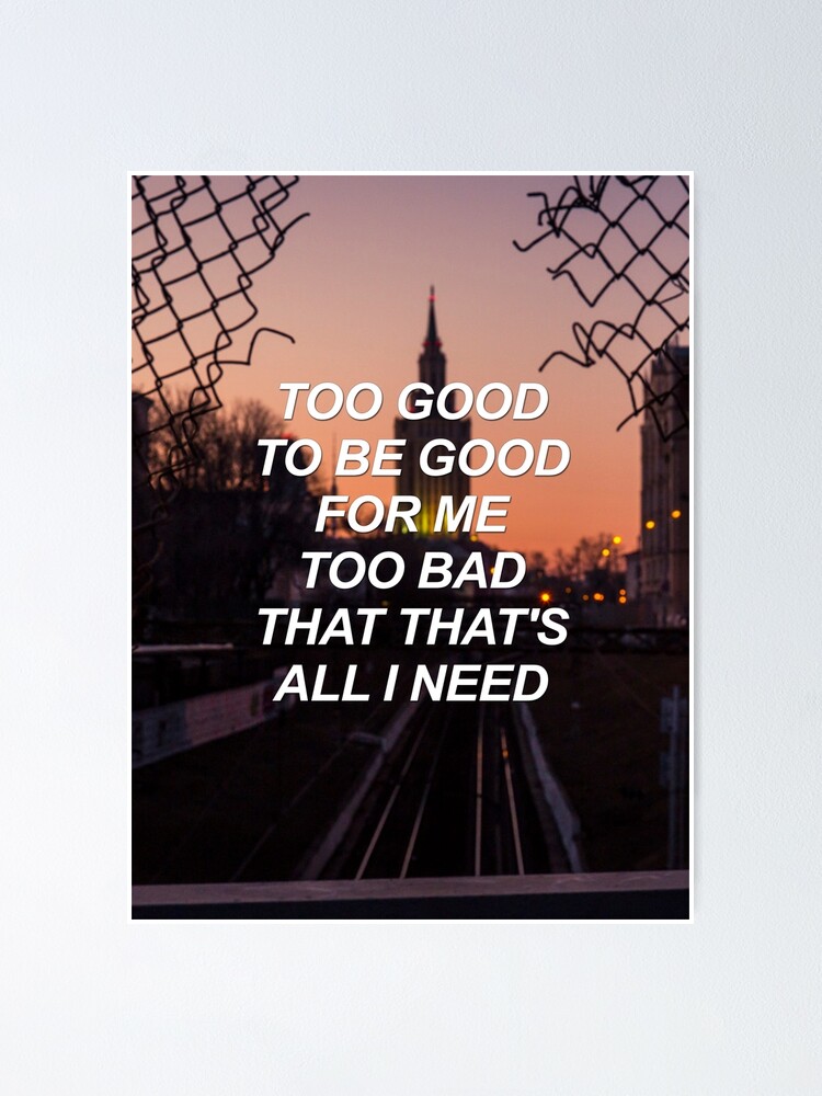 Too Good To Be Good For Me Too Bad That That S All I Need Troye Sad Lyrics Poster By Sadboyss Redbubble