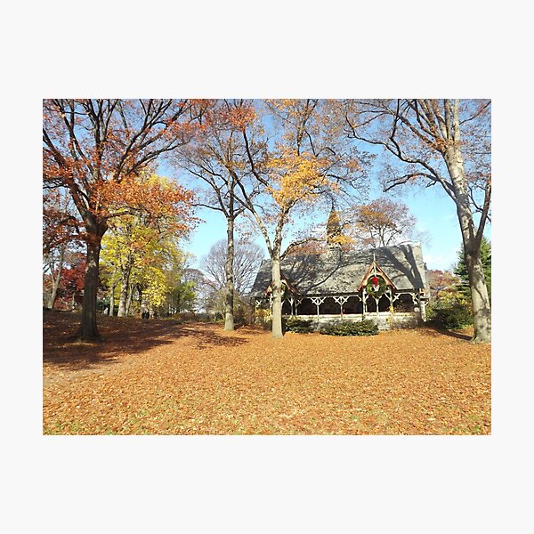 Item preview, Autumn Leaves, Autumn Foliage, Central Park, New York City designed and sold by lenspiro.