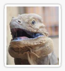 Lizard wird dich holen ... Sticker