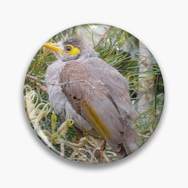 Item preview, Australian Noisy Miner designed and sold by SimpleJoyStyle.