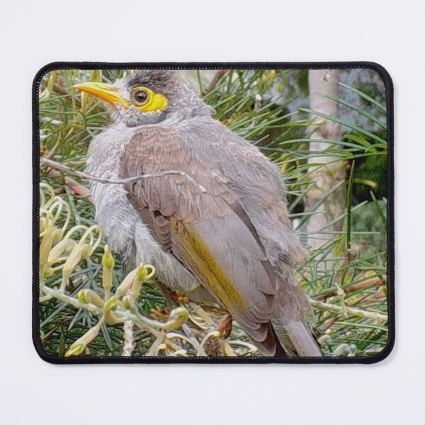 Item preview, Australian Noisy Miner designed and sold by SimpleJoyStyle.