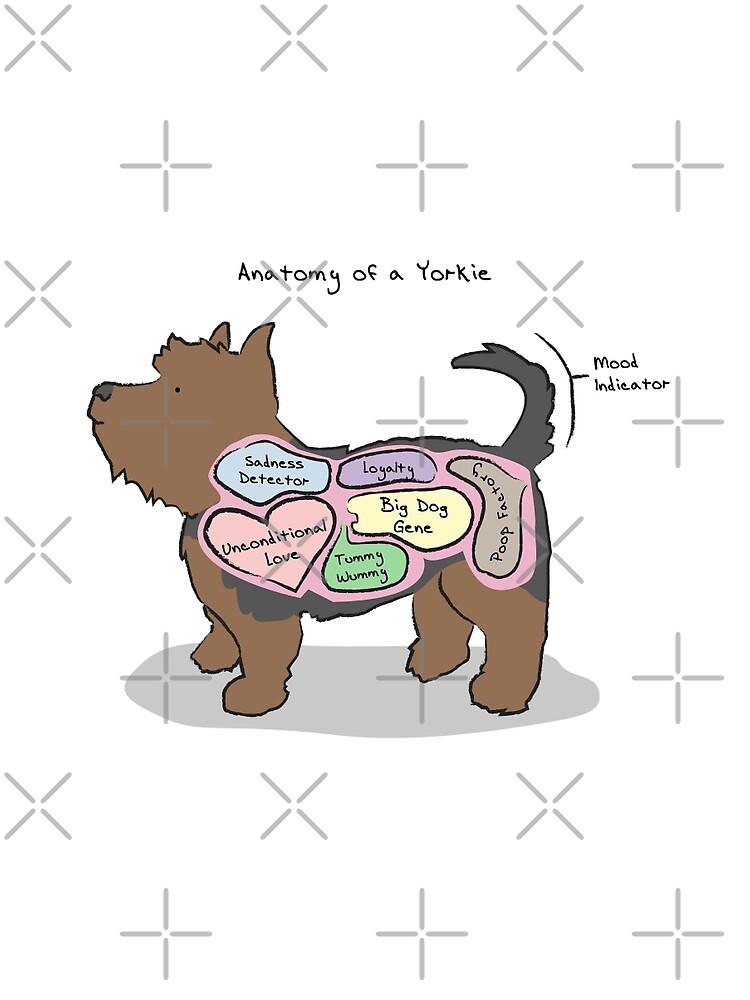 "Anatomy of a Yorkie" T-shirt by MommySketchpad | Redbubble