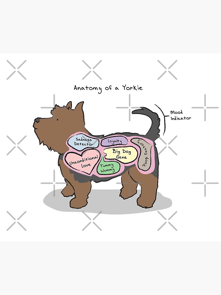 "Anatomy of a Yorkie" Tapestry for Sale by MommySketchpad | Redbubble