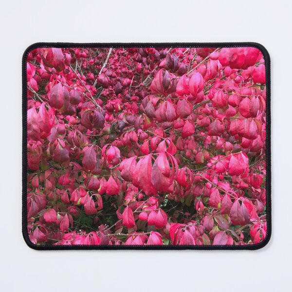 Item preview, Red leaves designed and sold by elaine-gregers.