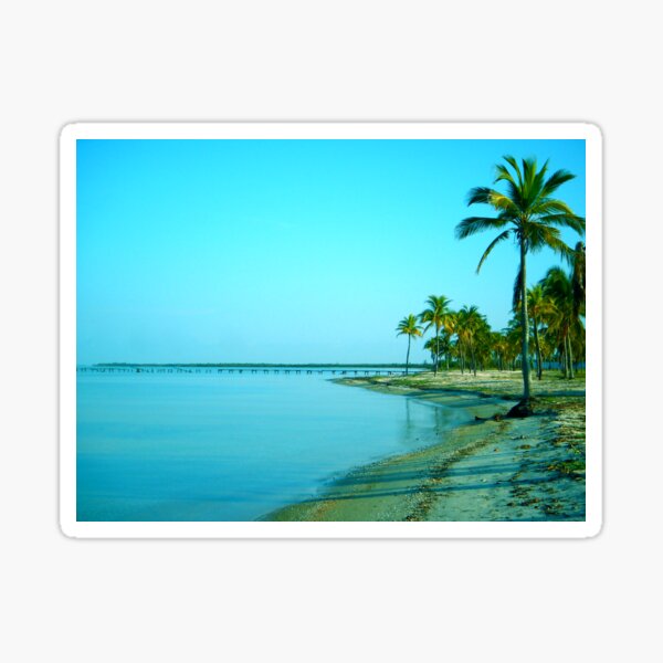 Paradise a.m. Sticker