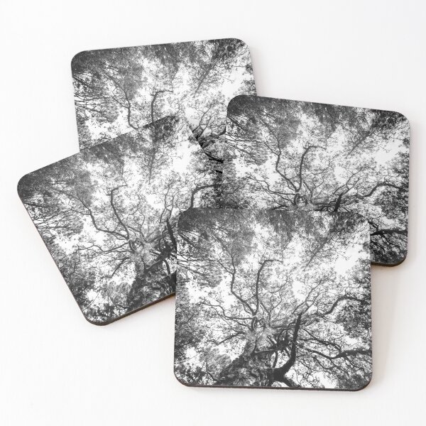 Item preview, Trees Black and white - Forest landscape, photography designed and sold by ohaniki.