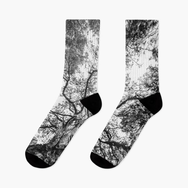 Item preview, Trees Black and white - Forest landscape, photography designed and sold by ohaniki.