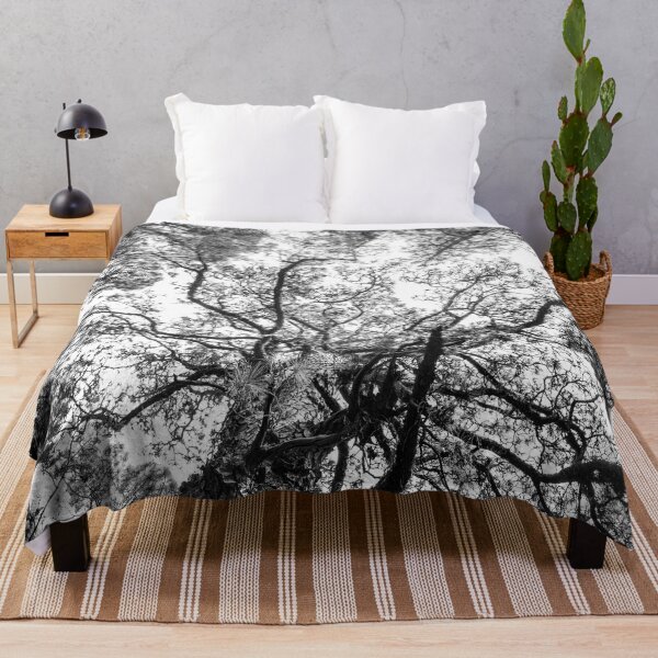 Item preview, Trees Black and white - Forest landscape, photography designed and sold by ohaniki.