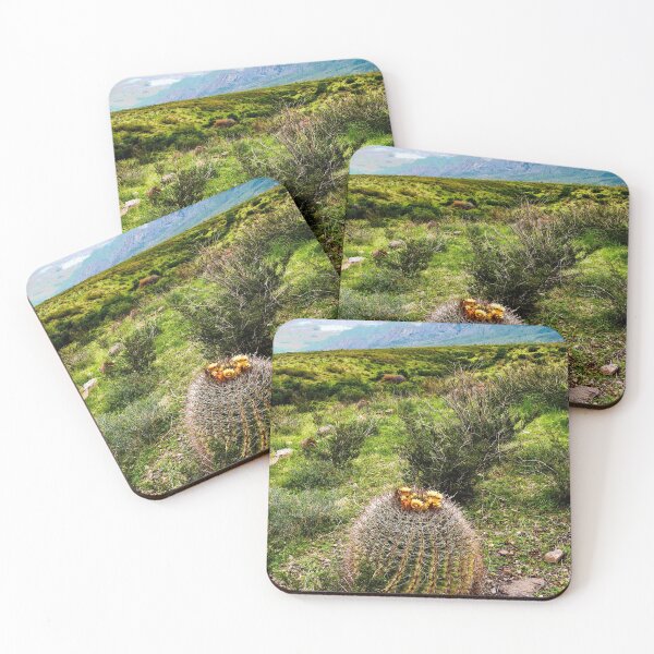 Item preview, Barrel Cactus Along the Organ Mountains designed and sold by William E Lopez.