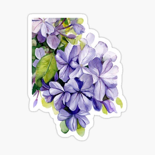 Item preview, Plumbago designed and sold by artofsuff.