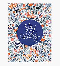 Stay Curious – Navy & Coral Photographic Print