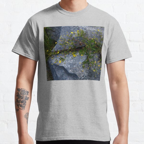 Tormentil, Dun Aengus, Inishmore, Aran Islands Classic T-Shirt