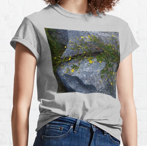 Tormentil, Dun Aengus, Inishmore, Aran Islands Classic T-Shirt