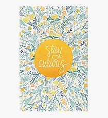 Stay Curious – Yellow & Green Fotodruck