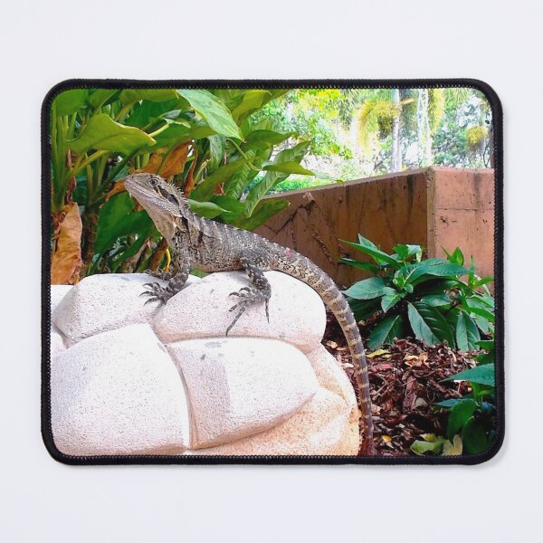 Item preview, Australian Water Dragon designed and sold by SimpleJoyStyle.