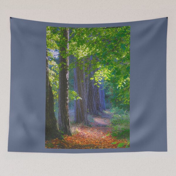 Item preview, Agden Reservoir Woodland  designed and sold by Alisonchambers2.