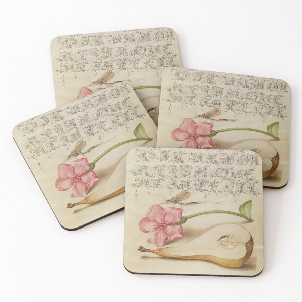 Item preview, Mira calligraphiae monumenta: pear, mayfly, flower designed and sold by ebrawne.