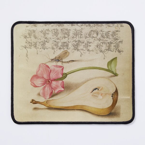 Item preview, Mira calligraphiae monumenta: pear, mayfly, flower designed and sold by ebrawne.