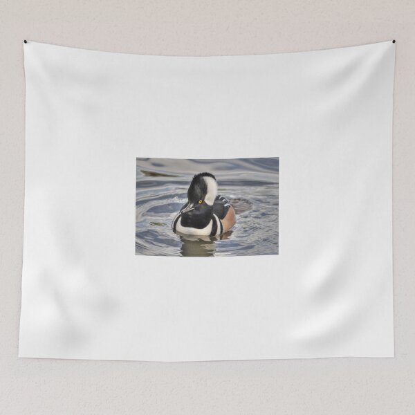 Item preview, Male Hooded Merganser designed and sold by Kathy Baccari.