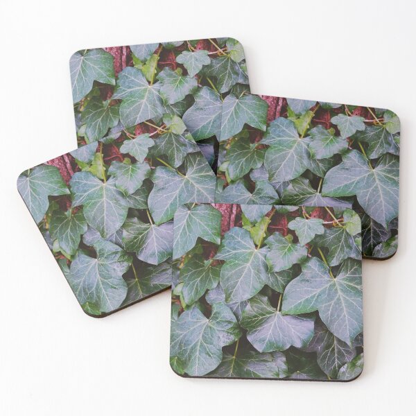 Item preview, Aesthetic Ivy Leaves Close-up - Botanical Nature Photography designed and sold by CarolinaReina.