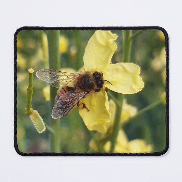 Item preview, Bee designed and sold by susanrobjantart.