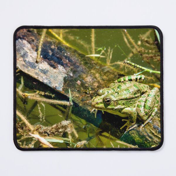 Item preview, Caucasian parsley frog designed and sold by troianifabrizio.