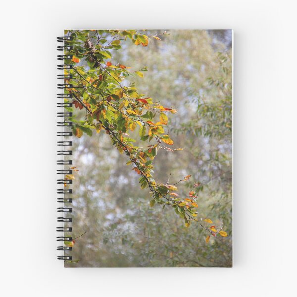 Item preview, COLOR OTOÑO designed and sold by MIKESCOTT.