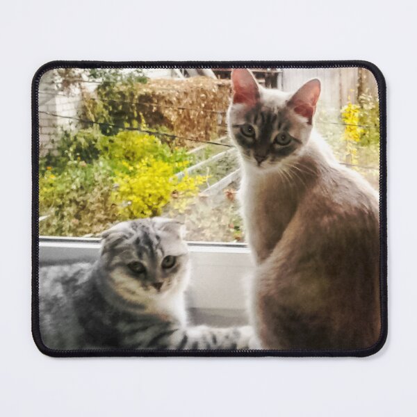 Item preview, Two serious intelligent female cats stare at you designed and sold by Alice-Moonbliss.