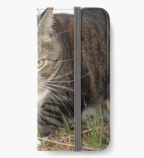 Lucy Lawns iPhone Wallet/Case/Skin