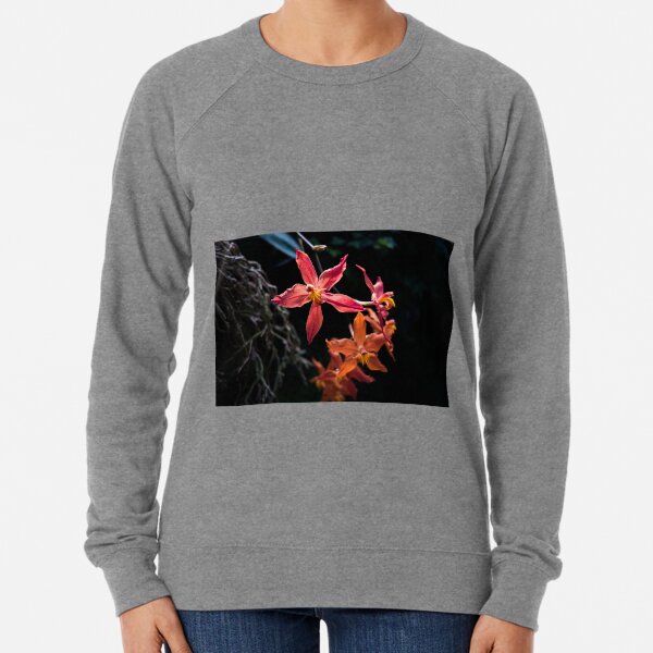 Follow The Leader Lightweight Sweatshirt