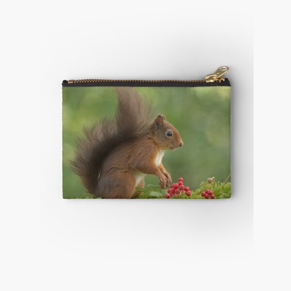 Item preview, Red Squirrel designed and sold by Macrae images.